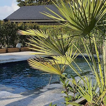 Pine Cottage- 5 Minutes Francorchamps - Charme -Piscine-Calme-Jardin Sart  外观 照片