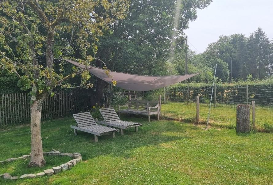 Pine Cottage- 5 Minutes Francorchamps - Charme -Piscine-Calme-Jardin Sart  外观 照片